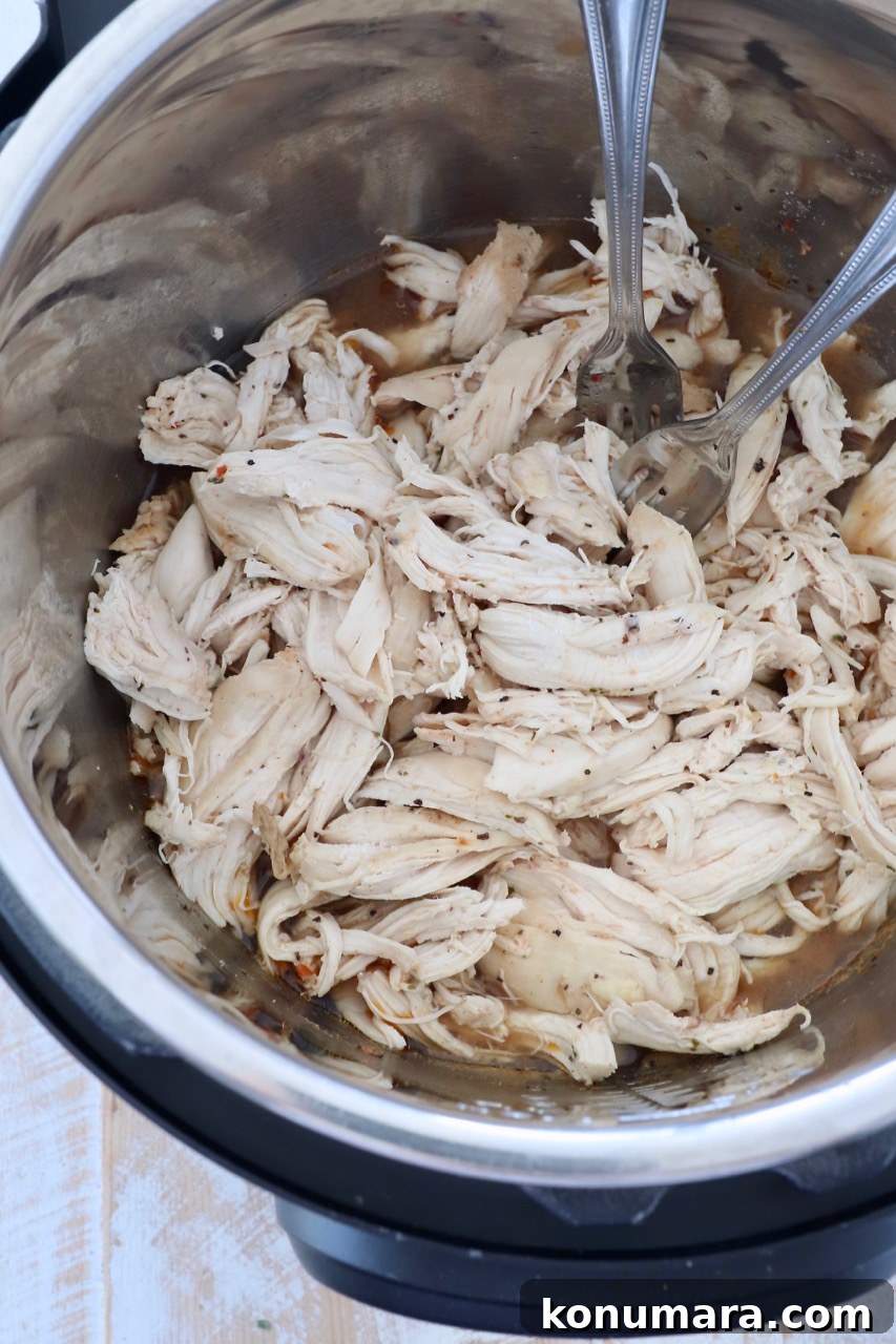 Instant Pot Shredded Chicken Recipe: Juicy and Tender 10 shredded chicken in Instant Pot with two forks