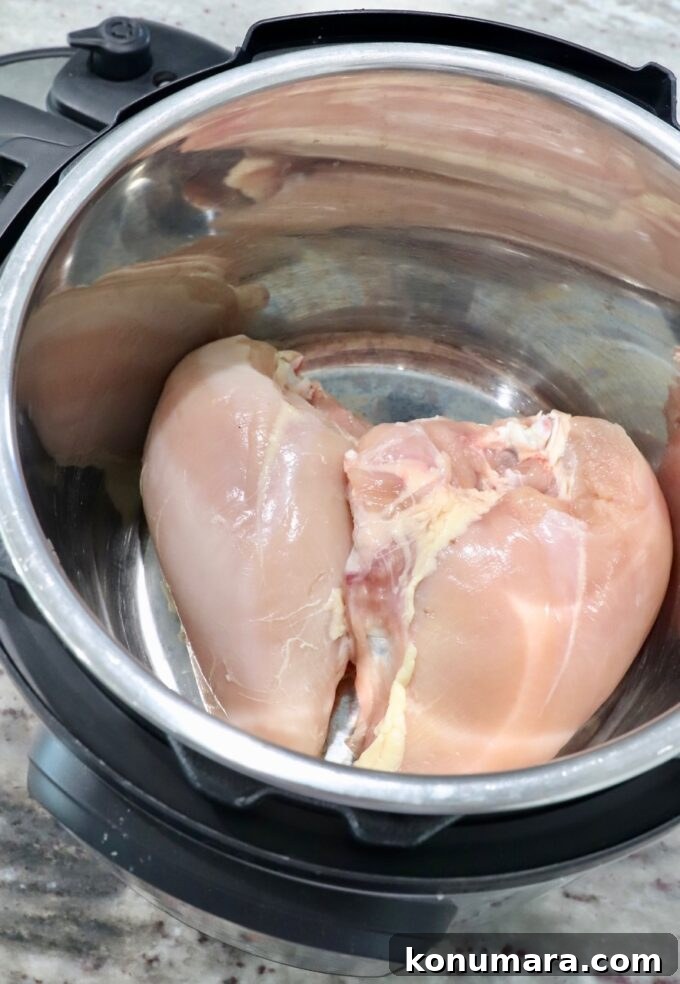 Instant Pot Shredded Chicken Recipe: Juicy and Tender 4 raw chicken breasts in an instant pot