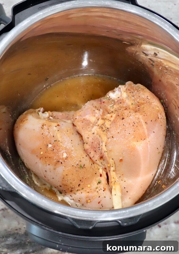 Instant Pot Shredded Chicken Recipe: Juicy and Tender 5 seasoned uncooked bone-in chicken breasts in an instant pot