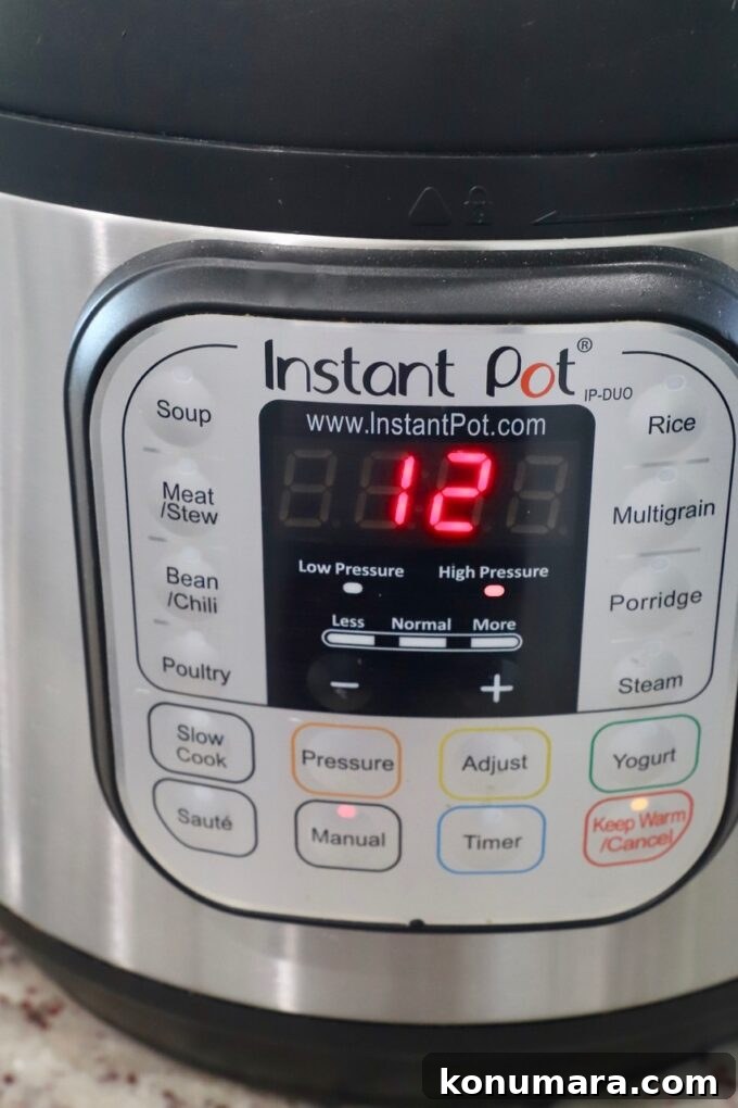 Instant Pot Shredded Chicken Recipe: Juicy and Tender 6 Instant Pot with the timer set to 12 minutes