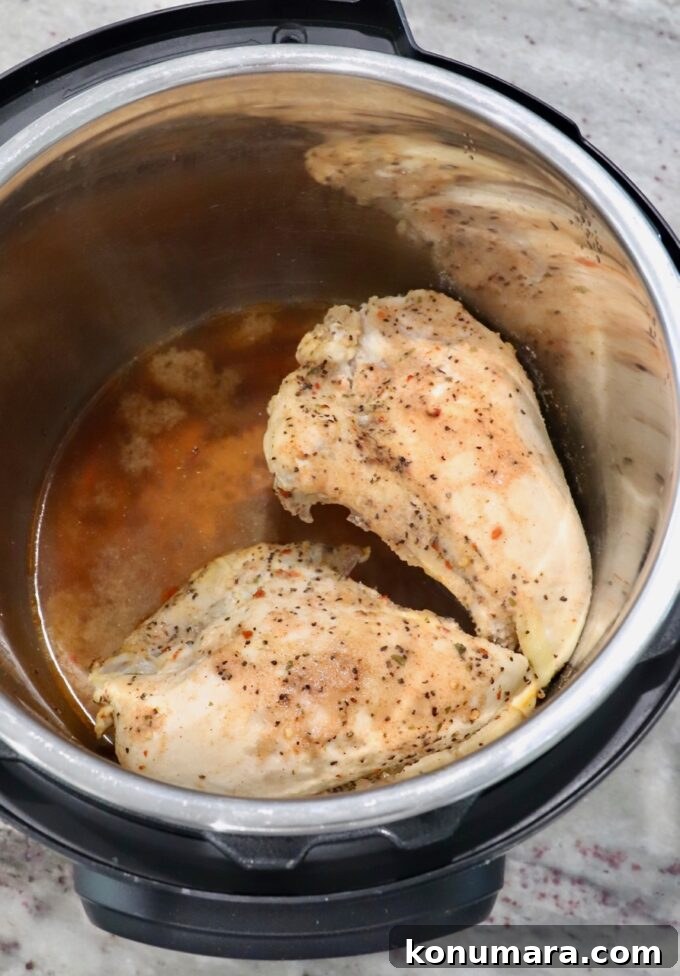 Instant Pot Shredded Chicken Recipe: Juicy and Tender 7 seasoned cooked chicken breasts in an Instant Pot