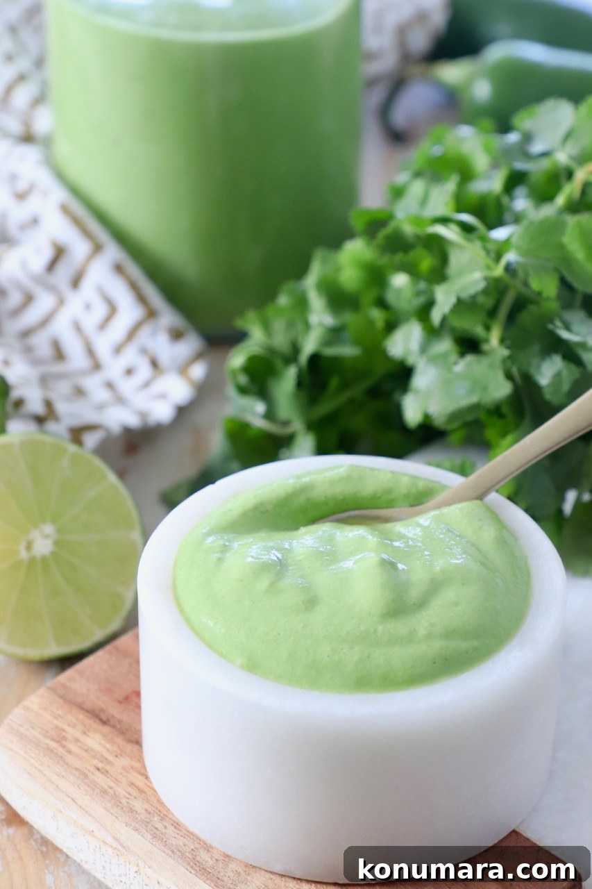 Zesty Cilantro Lime Sauce for Tacos and Grilled Meats 2 cilantro lime sauce in small white bowl with spoon