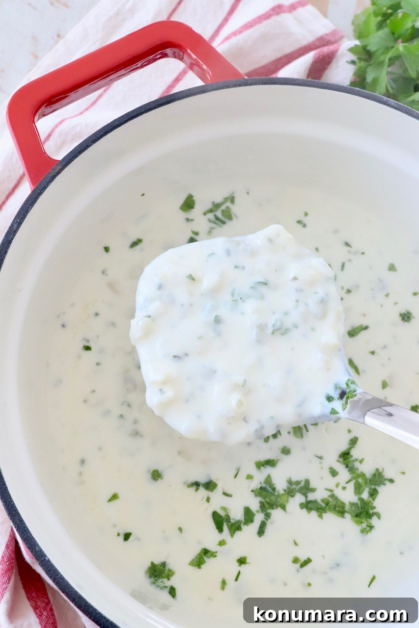 potato soup in pot with ladle in the soup