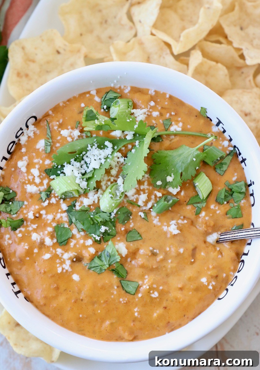 chorizo queso dip in bowl topped with fresh cilantro and green onions