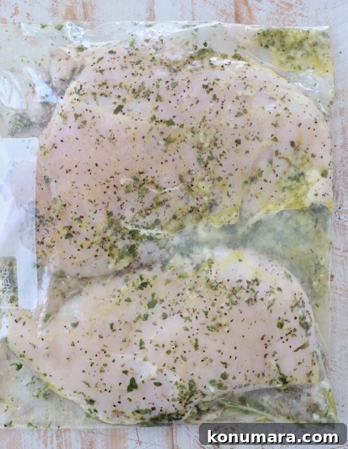 chicken breasts marinating in a large zipper bag