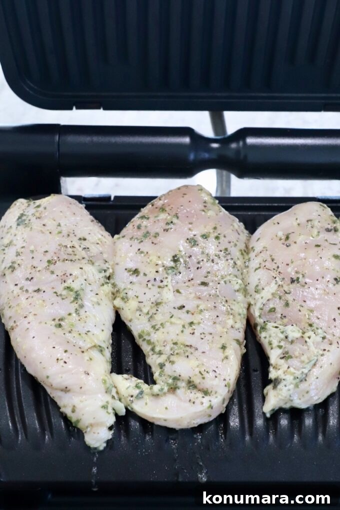 marinated chicken breasts in an indoor grill