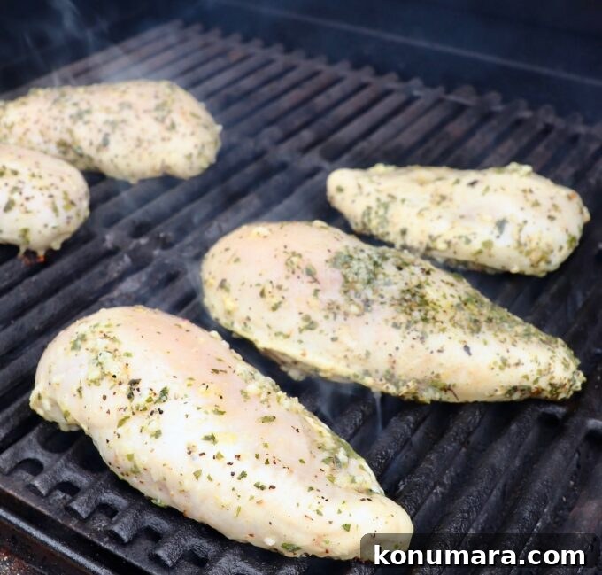 grilled chicken