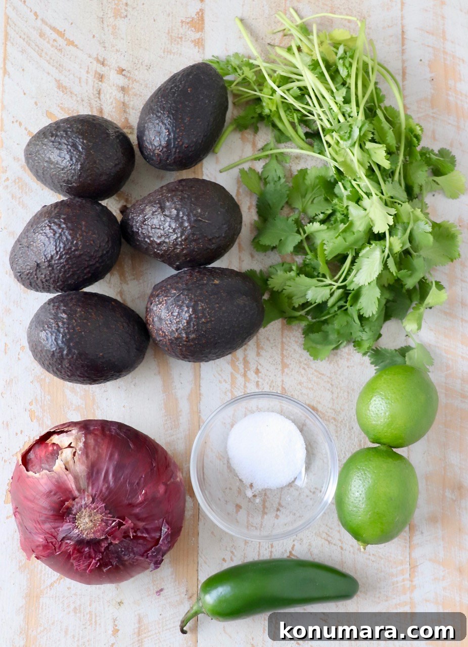 ingredients for guacamole recipe