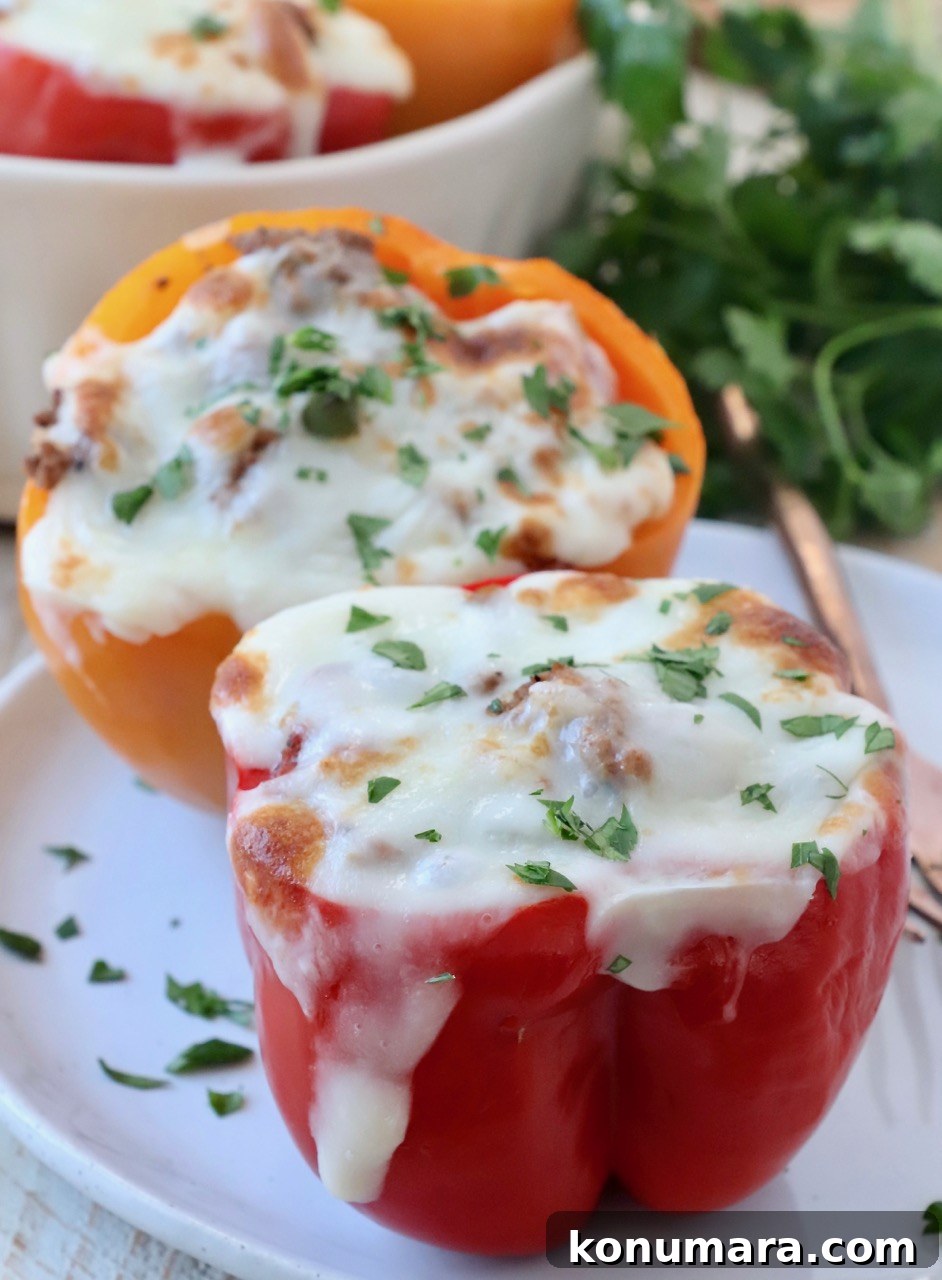 Stuffed bell peppers on plate topped with melted cheese
