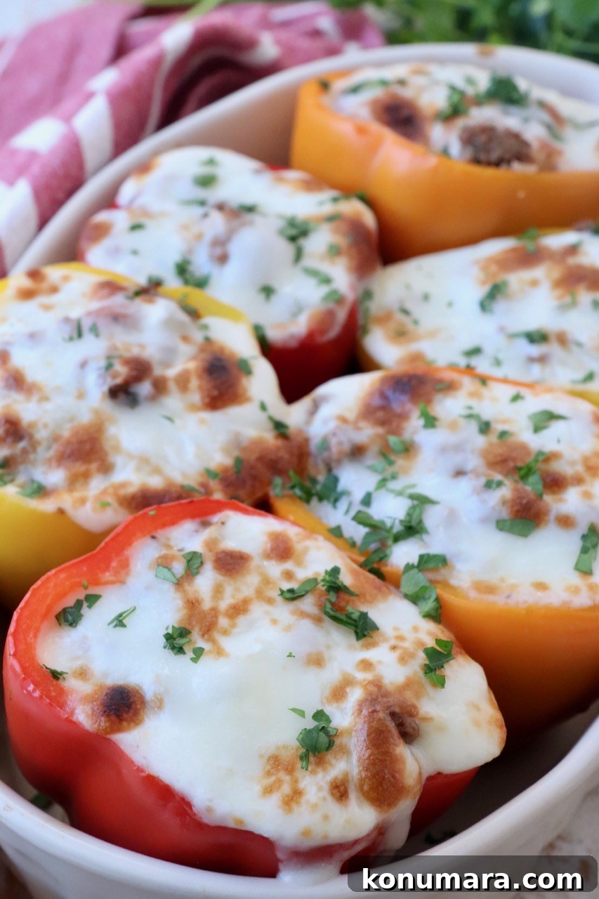 Stuffed peppers in baking dish