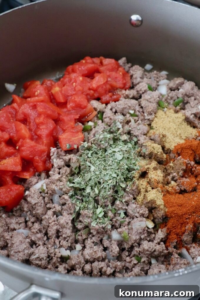 Cooked ground beef in skillet with tomatoes and spices