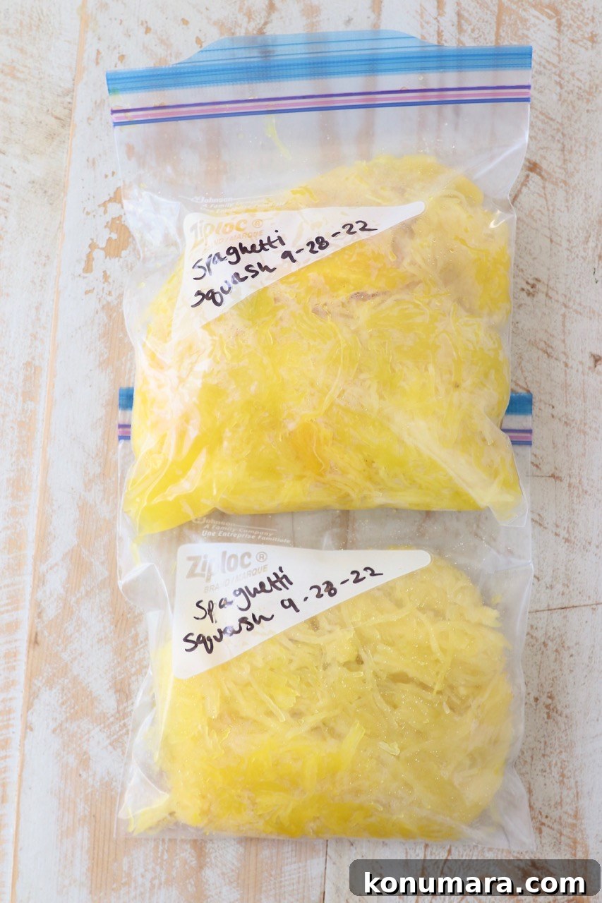 cooked spaghetti squash strands in freezer plastic bags