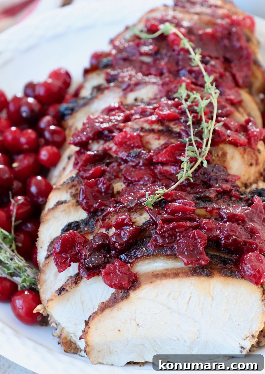 sliced turkey breast on plate covered with cranberry sauce