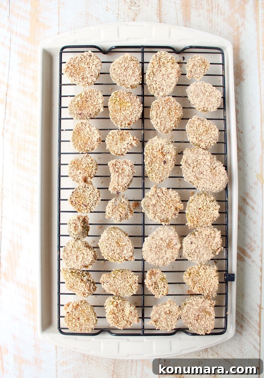 Pickle Chips are dipped in buffalo sauce, then rolled in a spicy Rice Chex mixture and baked golden brown for the perfect gluten-free & vegetarian snack!