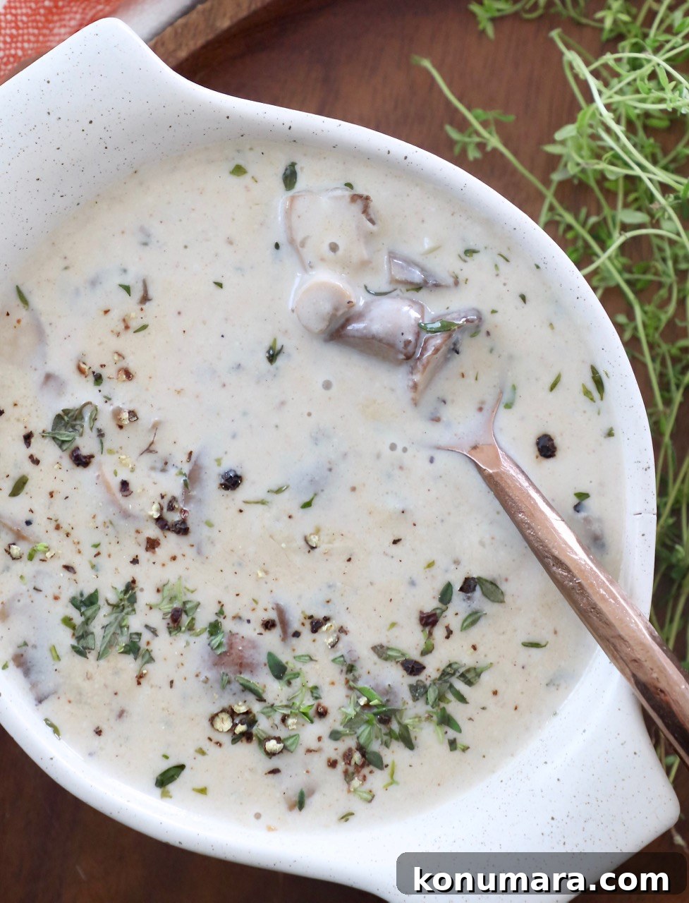 Velvety Cream of Mushroom Soup Recipe 2 cream of mushroom soup in bowl with spoon