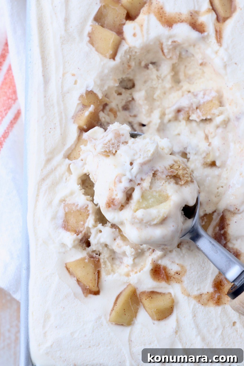 ice cream scoop in container of apple pie ice cream