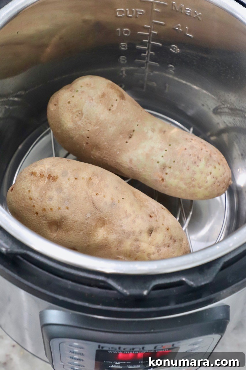 two large russet potatoes in Instant Pot