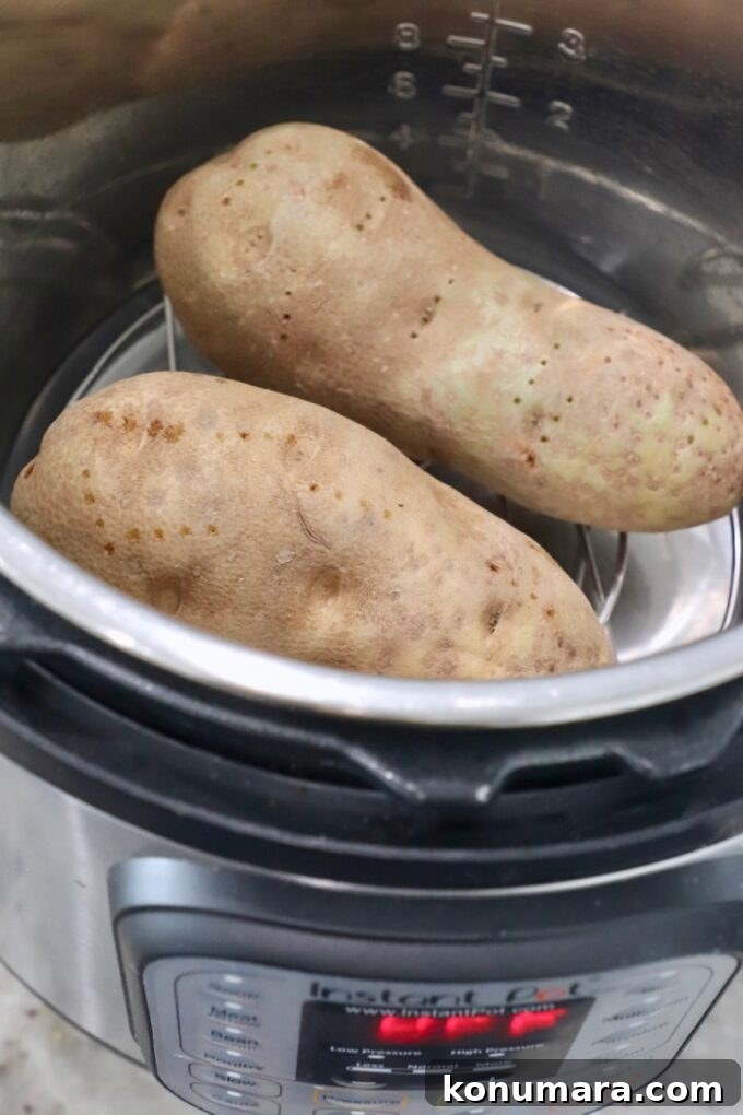 two large russet potatoes in Instant Pot
