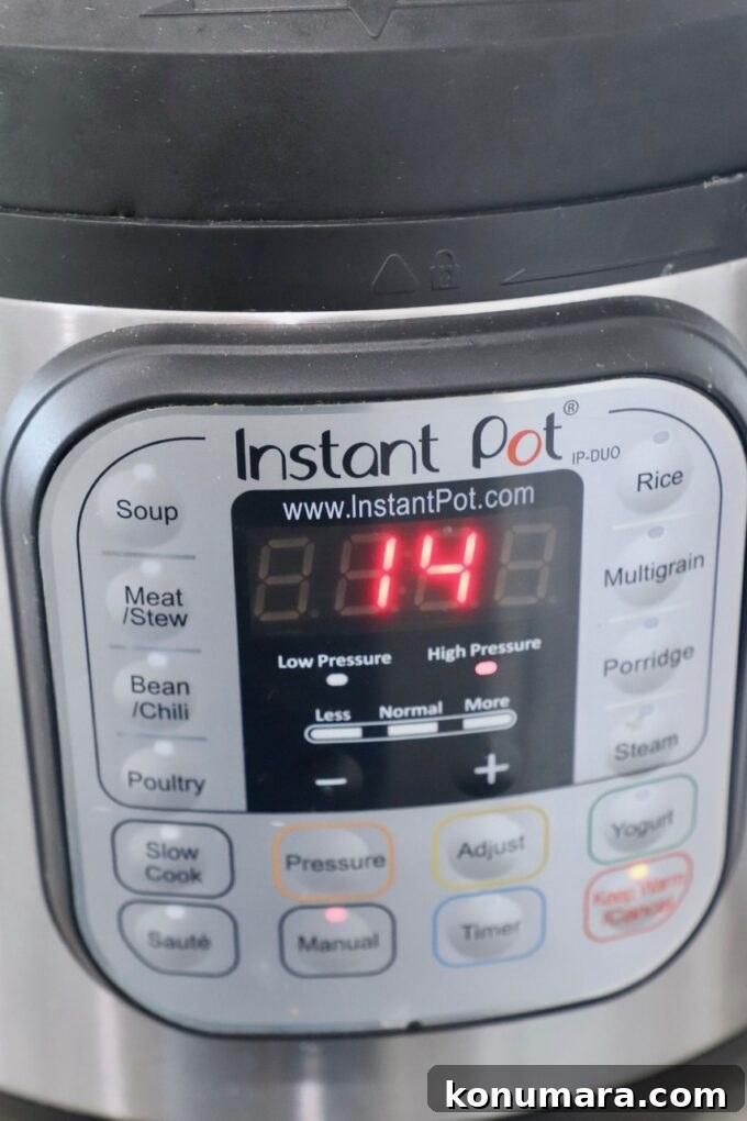 Instant Pot with 14 minutes on the timer