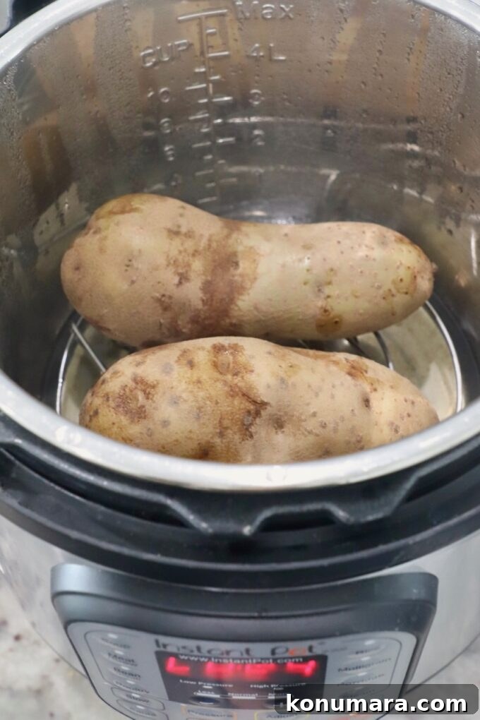 cooked large russet potatoes in Instant Pot