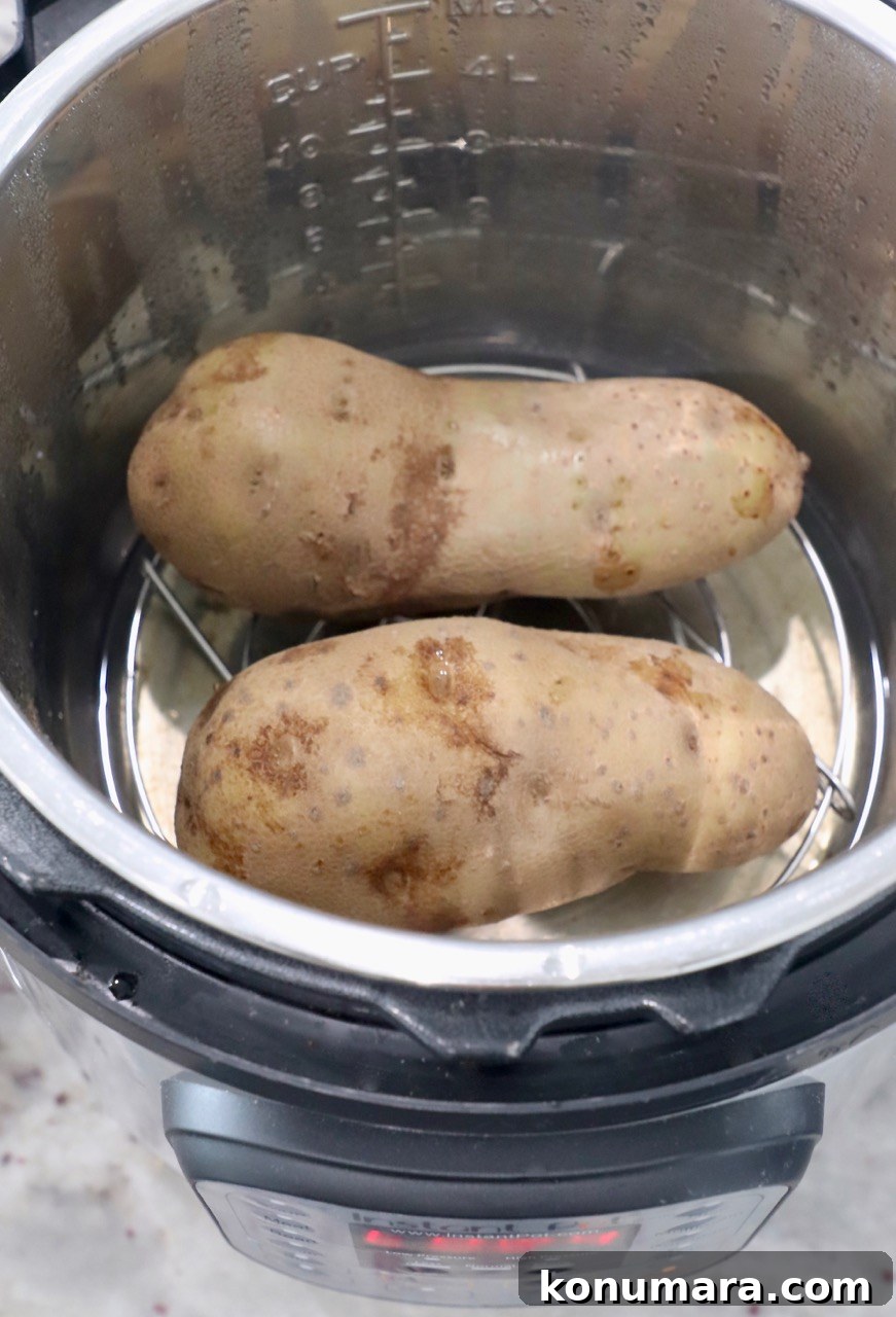 large russet potatoes in Instant Pot