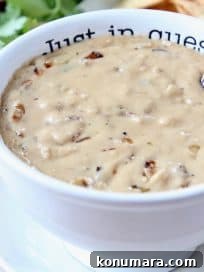 French Onion Dip Queso