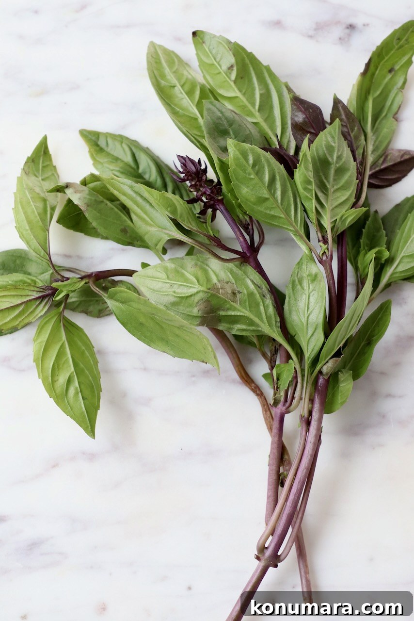 thai basil leaves on marble tray