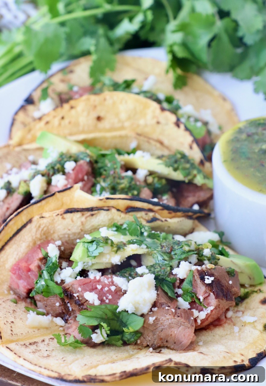 grilled steak in tacos on plate topped with cilantro and avocado
