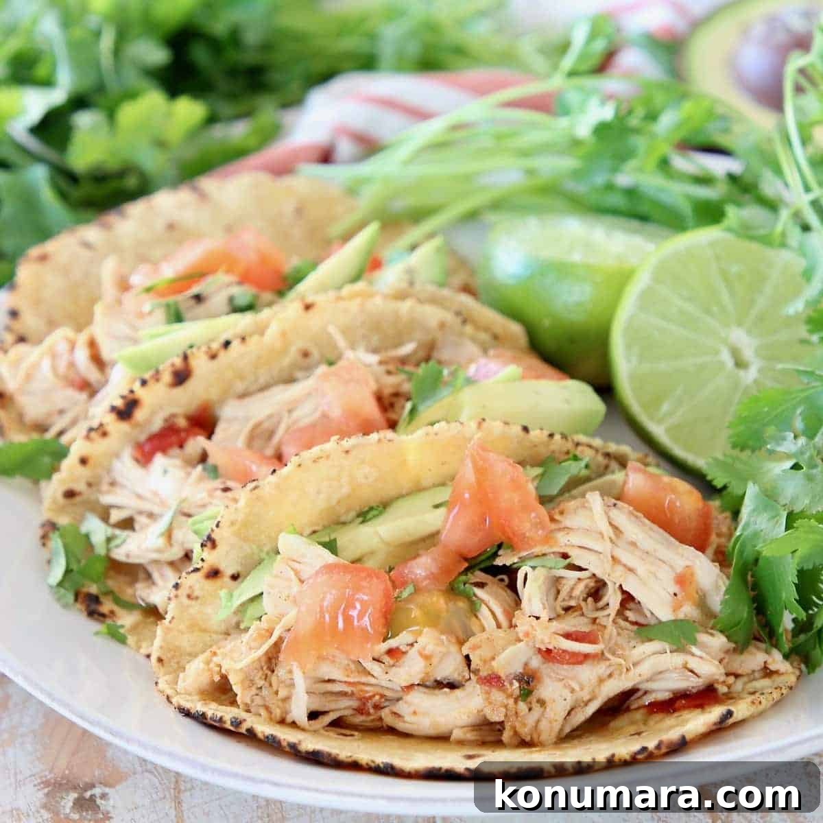 Pressure cooker chicken tacos in corn tortillas on white plate with cilantro and limes