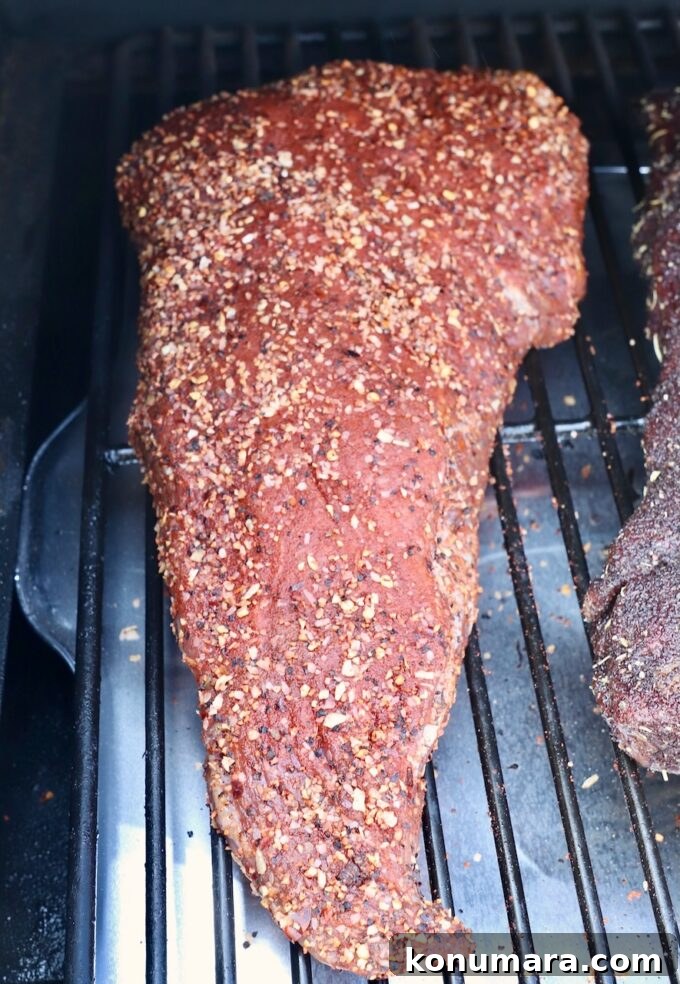 seasoned uncooked tri tip on smoker