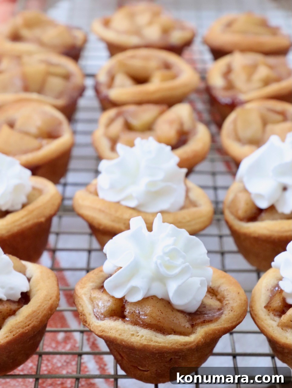 Mini Apple Pie Recipe: Cinnamon Hand Pies 2 mini apple pies on wire rack, topped with whipped cream