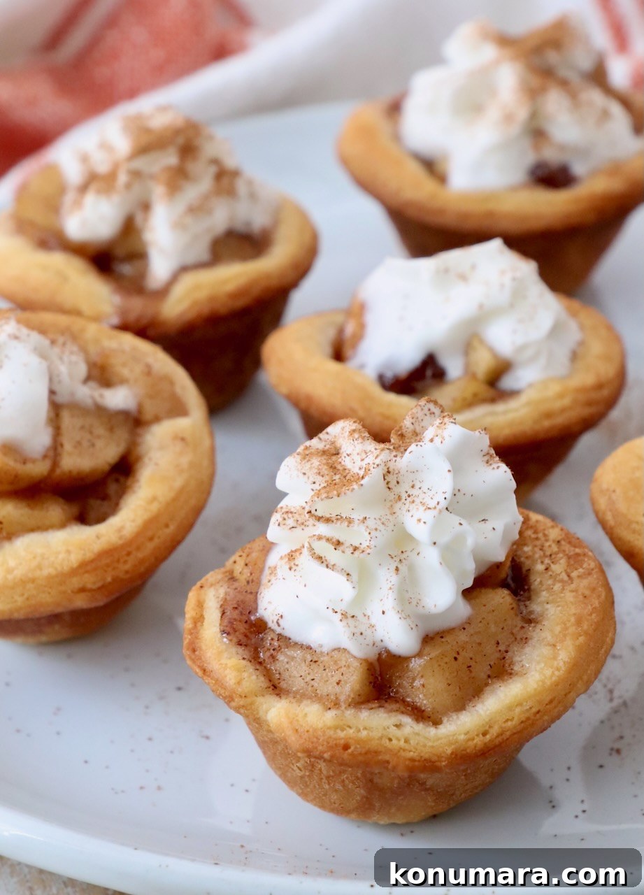 Mini Apple Pie Recipe: Cinnamon Hand Pies 9 mini apple pies on plate, topped with whipped cream and ground cinnamon