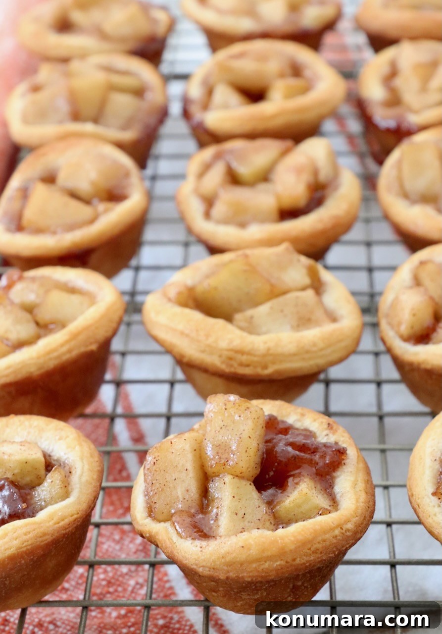 Mini Apple Pie Recipe: Cinnamon Hand Pies 6 mini apple pies on wire rack
