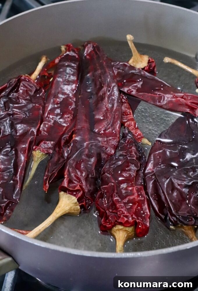 dried chiles in pot of water