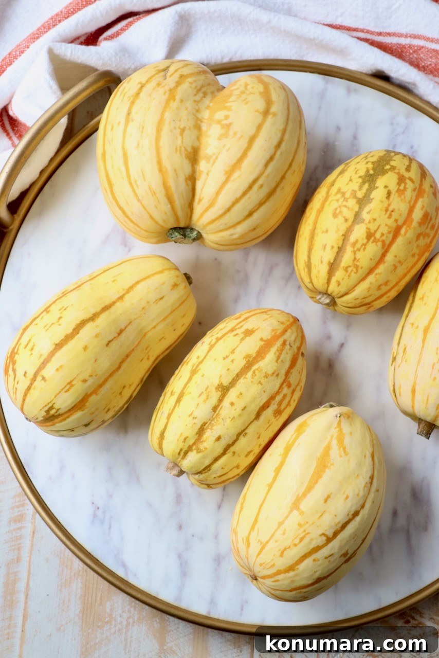 How to Cook Delicata Squash: Roast, Bake and Saute 2 whole delicata squash on marble serving tray