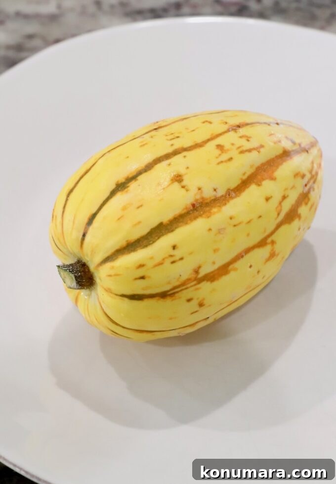 How to Cook Delicata Squash: Roast, Bake and Saute 6 whole delicata squash on white plate