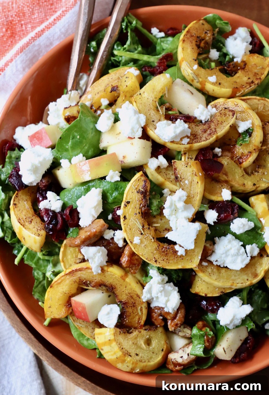 Roasted Delicata Squash Salad with Arugula and Feta 2 salad in bowl topped with roasted strips of delicata squash and crumbled goat cheese