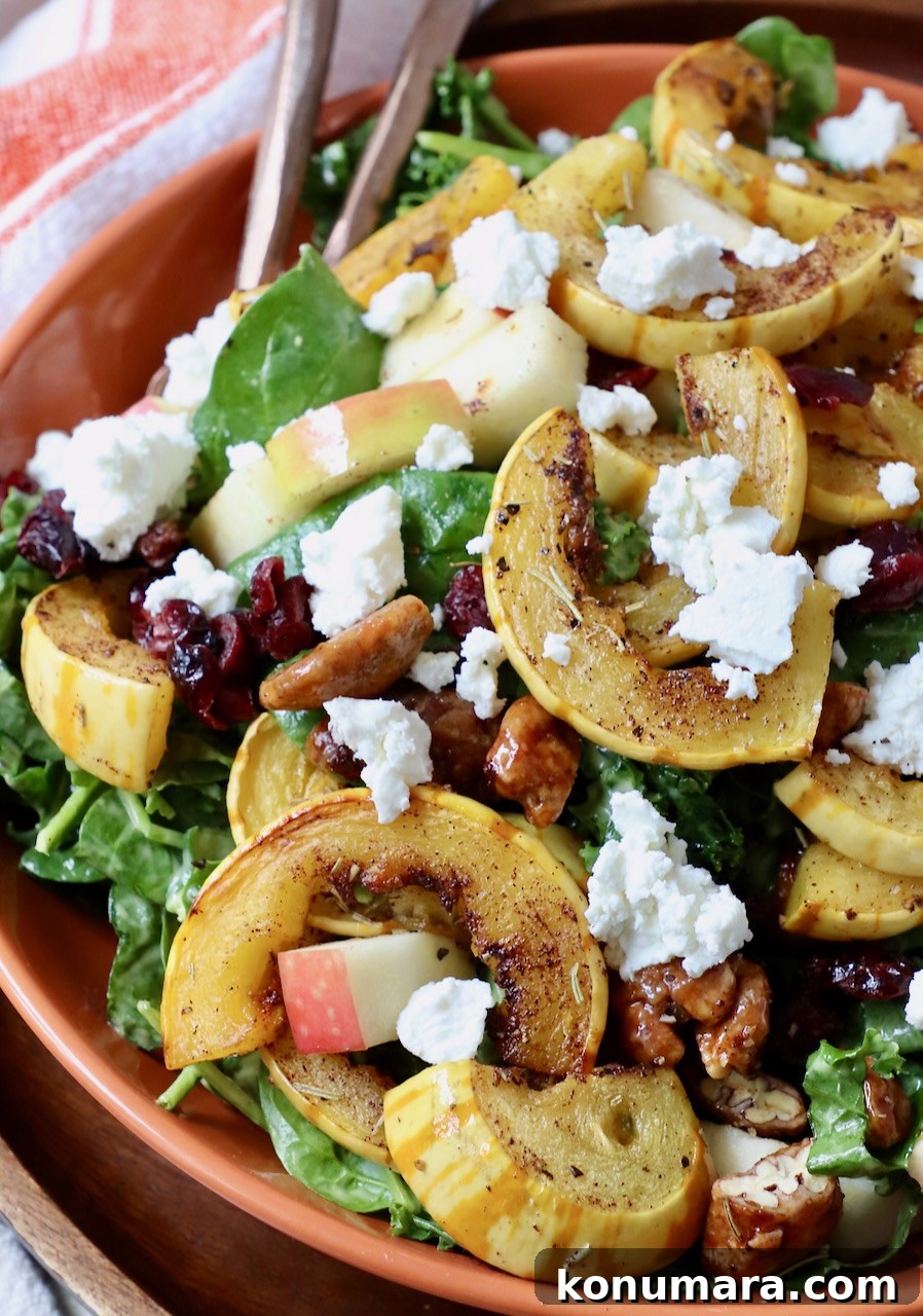 Roasted Delicata Squash Salad with Arugula and Feta 6 roasted sliced delicata squash on top of salad in bowl