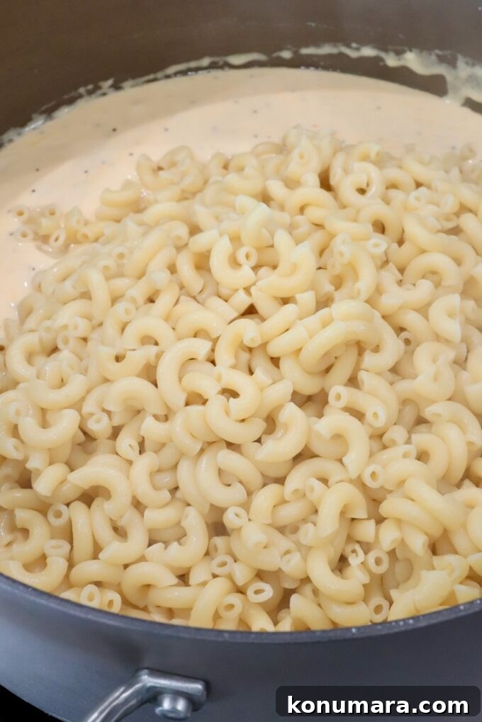 Creamy Homemade Mac and Cheese Recipe 6 cheese sauce topped with cooked macaroni noodles in a large pot