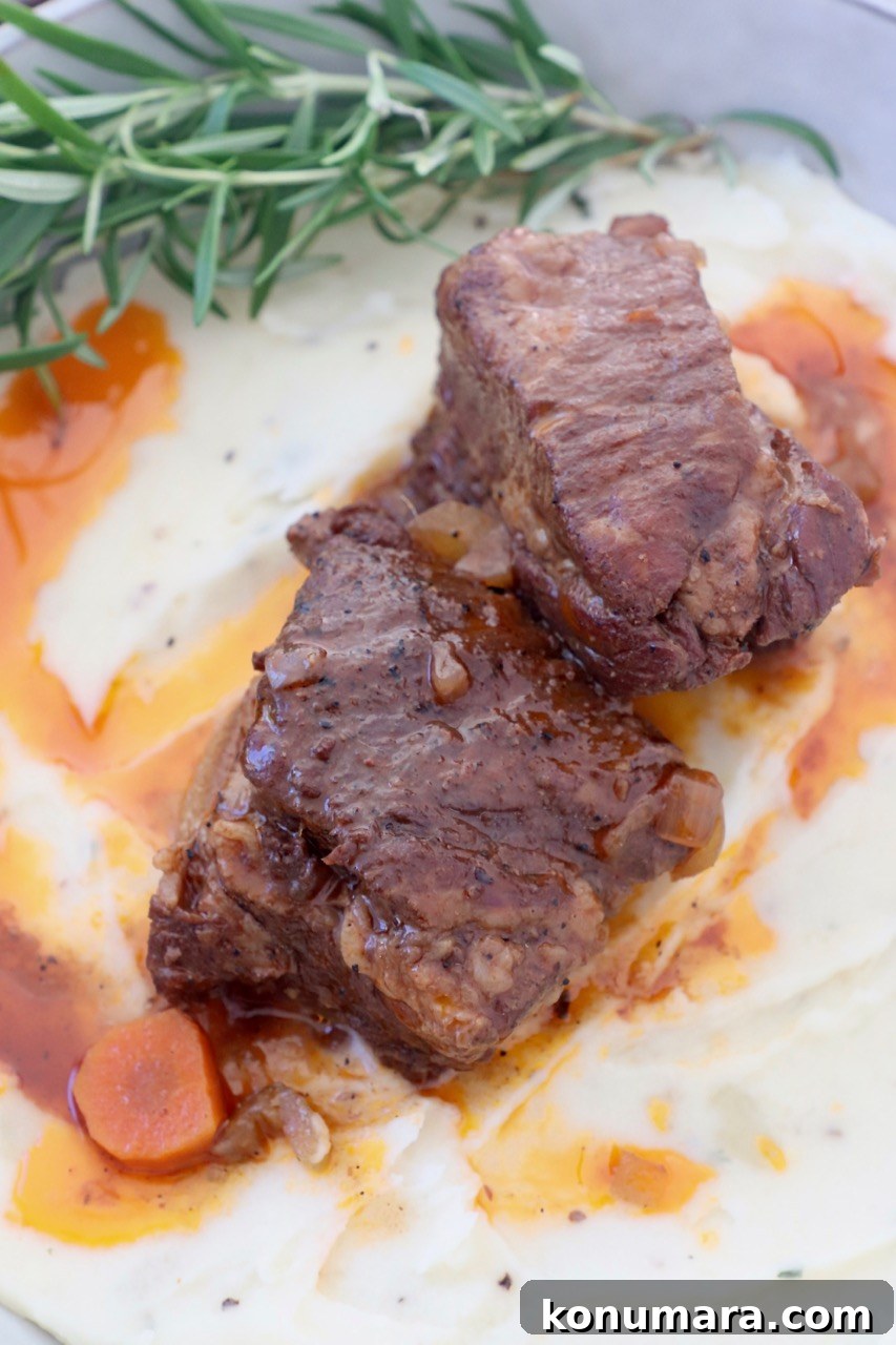braised short ribs on top of mashed potatoes in bowl with fresh rosemary sprigs