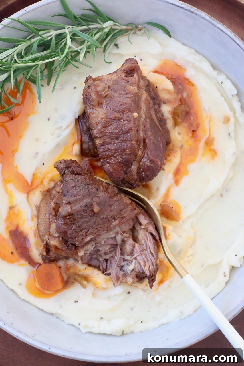 braised short ribs in bowl with mashed potatoes and fresh rosemary