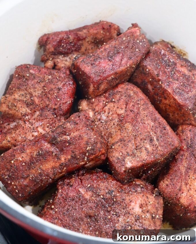 seasoned short ribs in dutch oven on stove