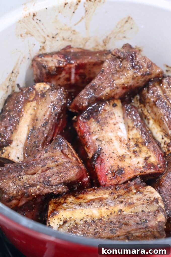 seared short ribs in dutch oven on stove