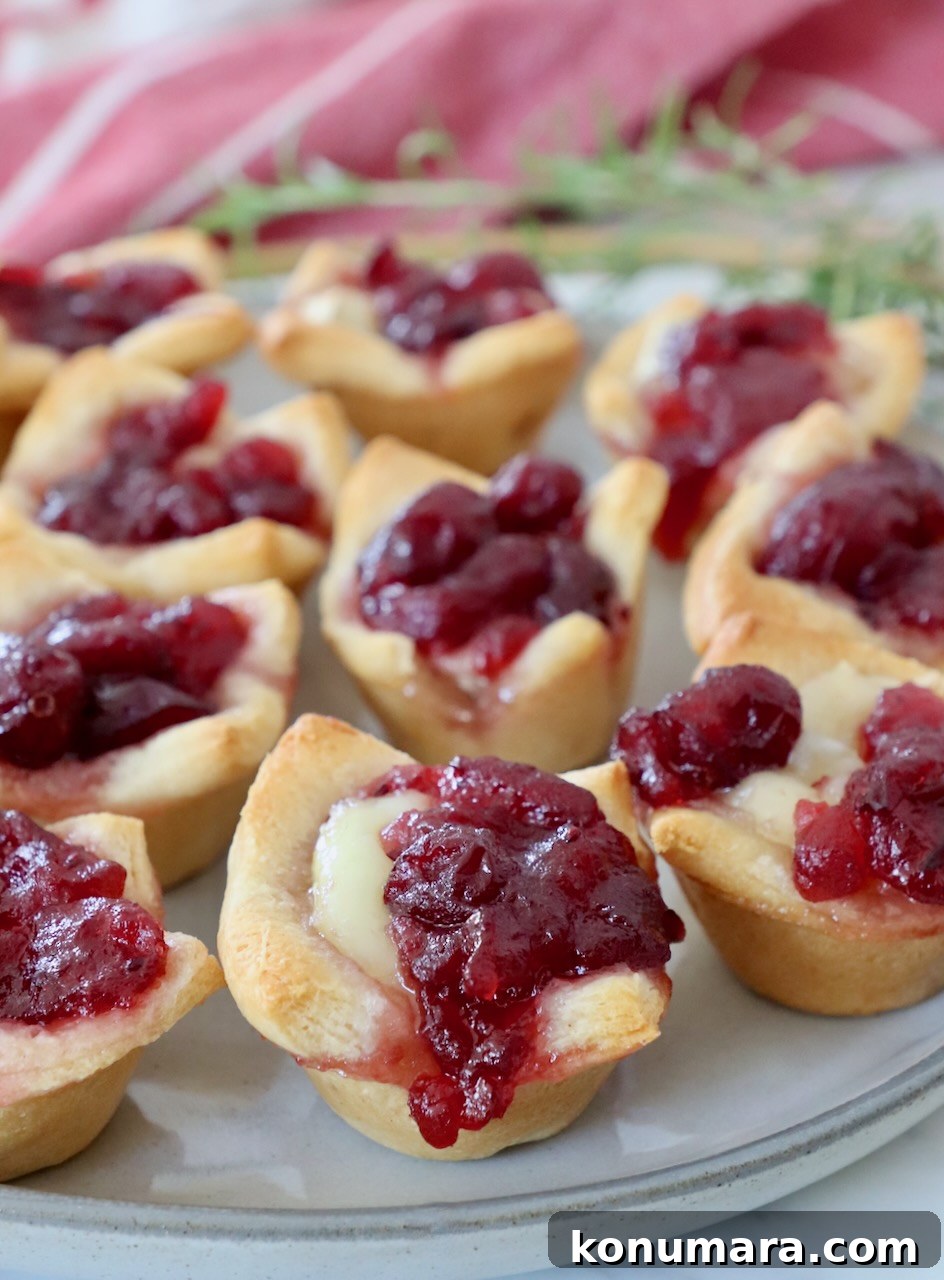 Cranberry Brie Bites Recipe with Puff Pastry 2 baked brie bites topped with cranberry sauce on plate
