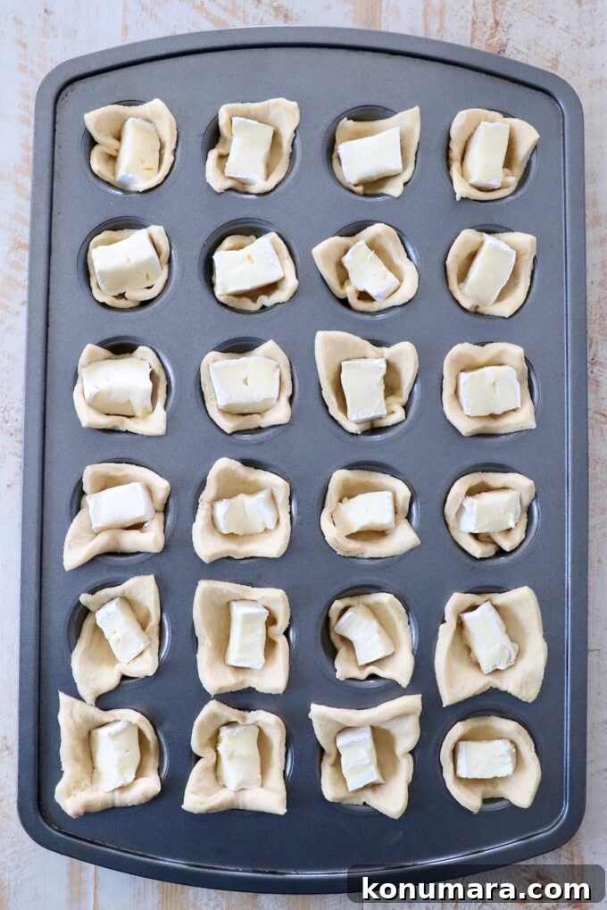 Cranberry Brie Bites Recipe with Puff Pastry 6 crescent roll dough pressed into a mini muffin tin, topped with pieces of brie cheese