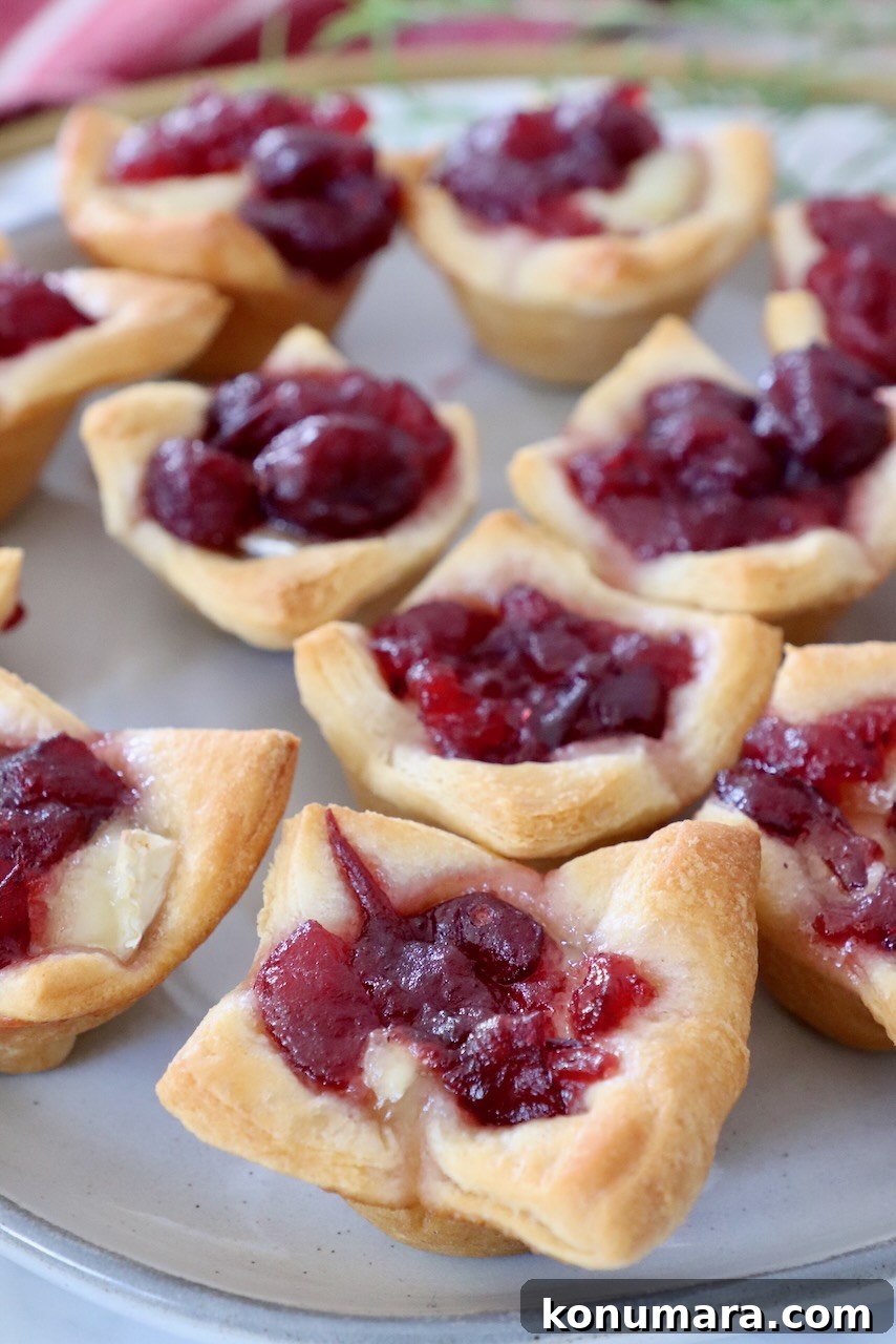 Cranberry Brie Bites Recipe with Puff Pastry 9 baked brie bites topped with cranberry sauce on a plate