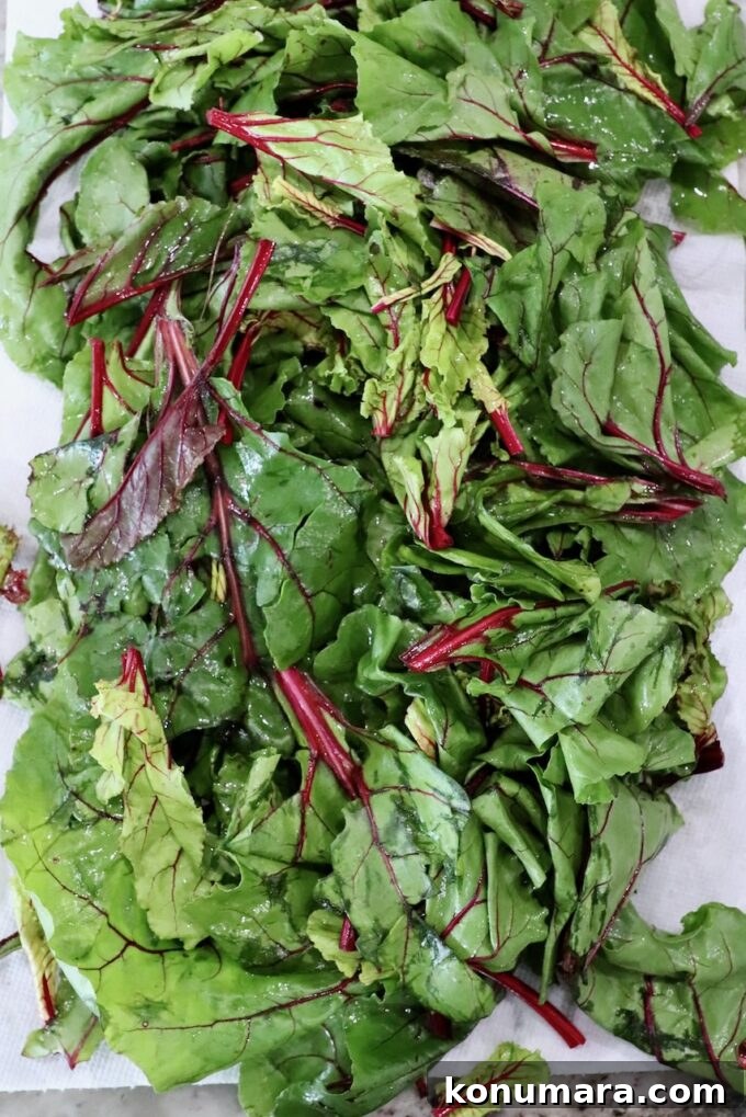 What to Do With Beet Greens: Recipes and Storage Tips 5 washed beet greens on paper towels