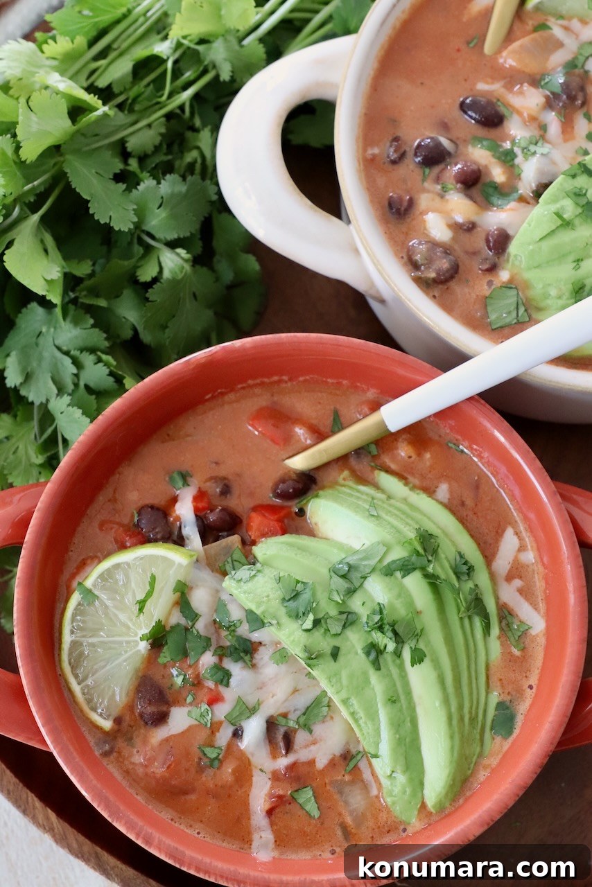 Smoky Southwest Black Bean Soup Recipe 9 black bean soup in bowl with spoon, topped with sliced avocado