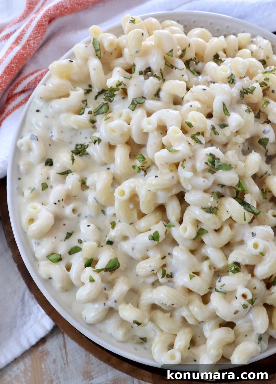 pasta in creamy sauce in large bowl