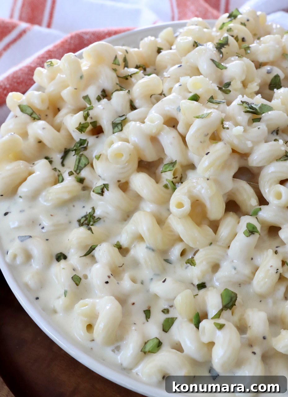 pasta in creamy, cheesy sauce in bowl